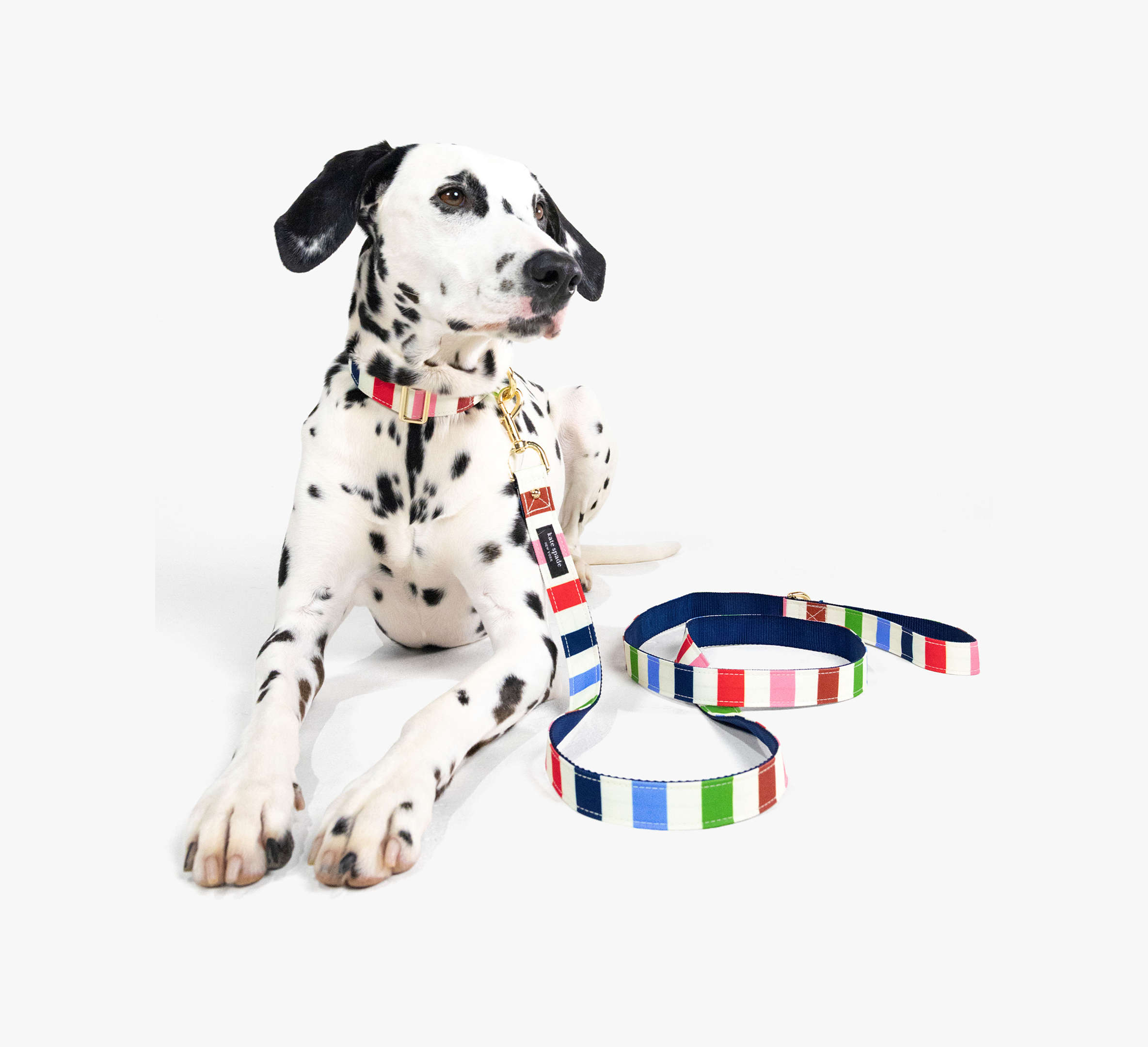 Adventure Stripe Leash M/L