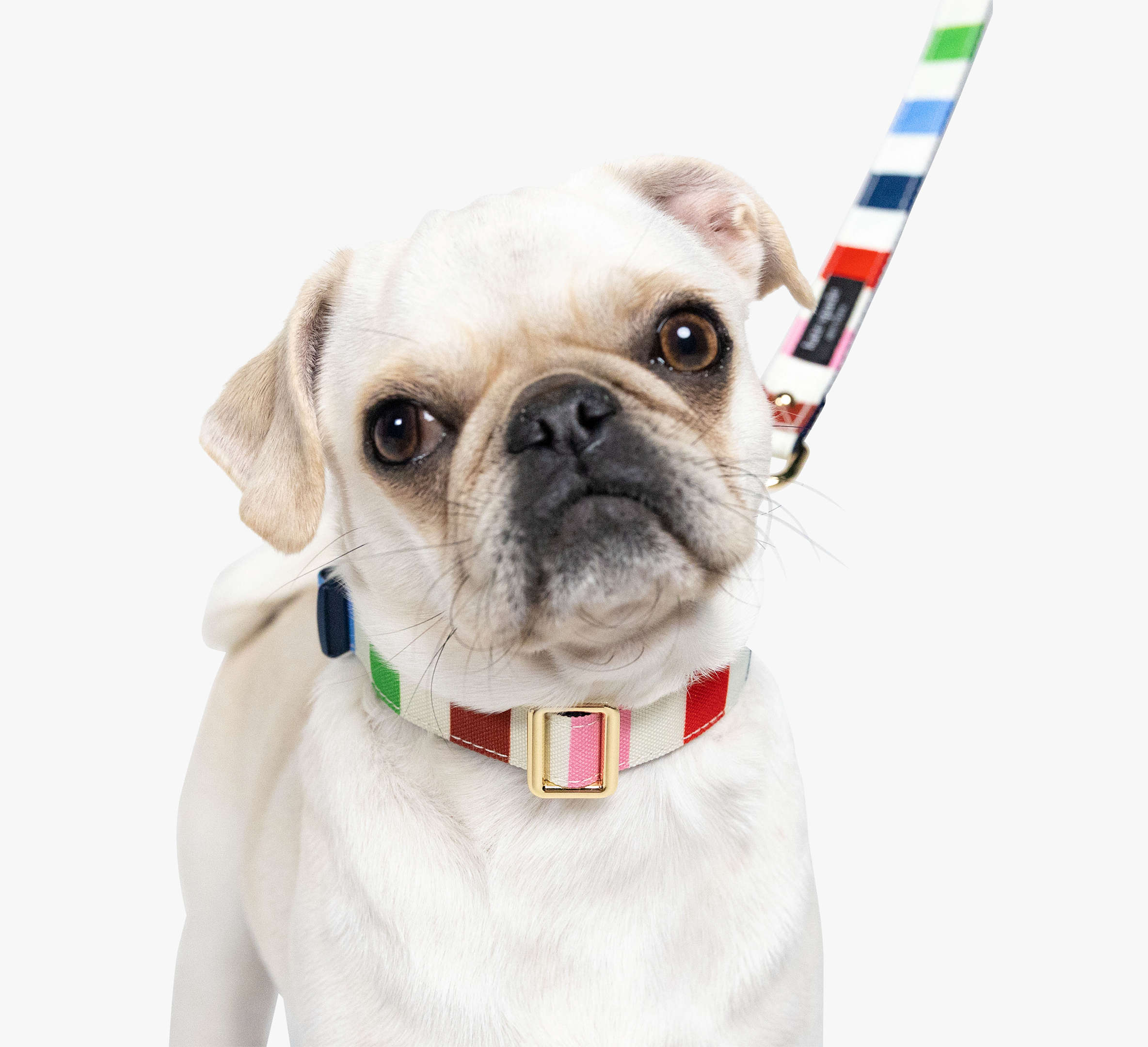 Adventure Stripe Collar S/M