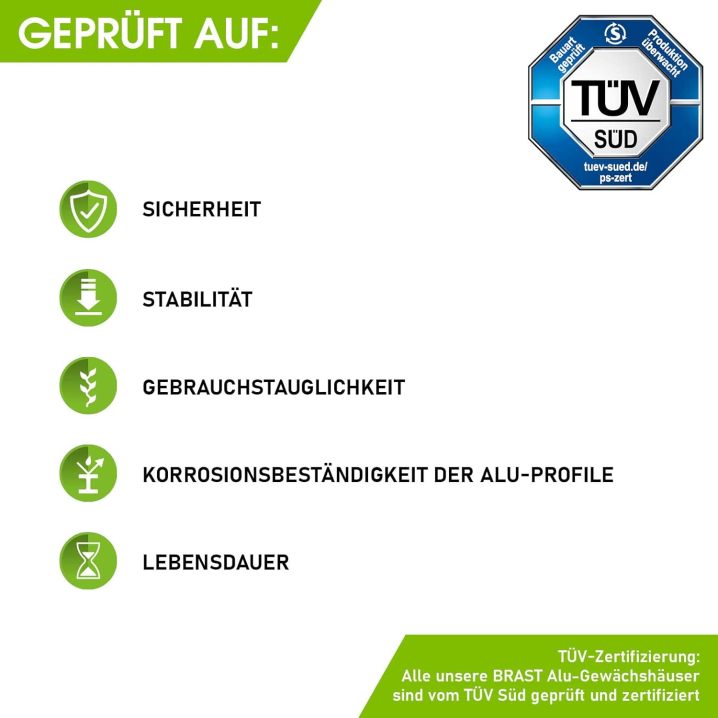 BRAST Aluminium Greenhouse with Base 490 x 250 x 205 cm, TÜV Tested, 6 mm Hollow Chamber Panels, Rustproof/Weatherproof/Temperature-Resistant