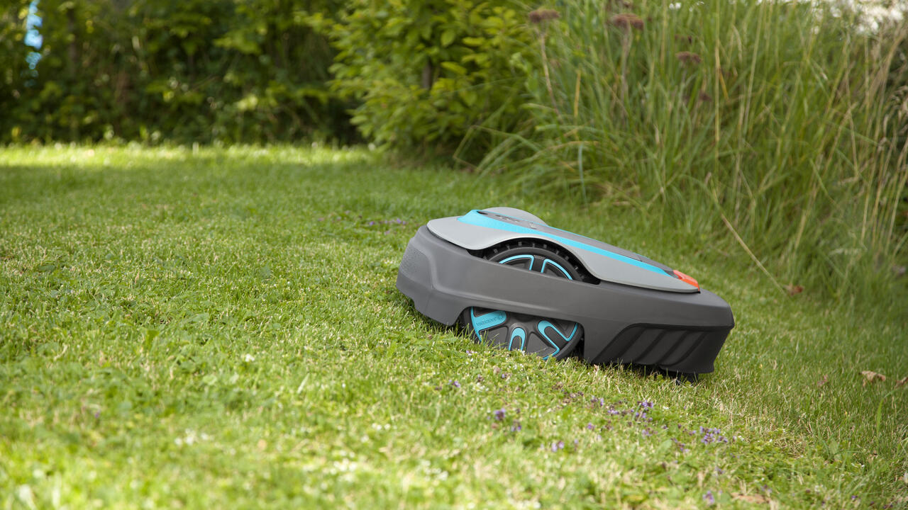 SILENO city, 2700 sq. ft