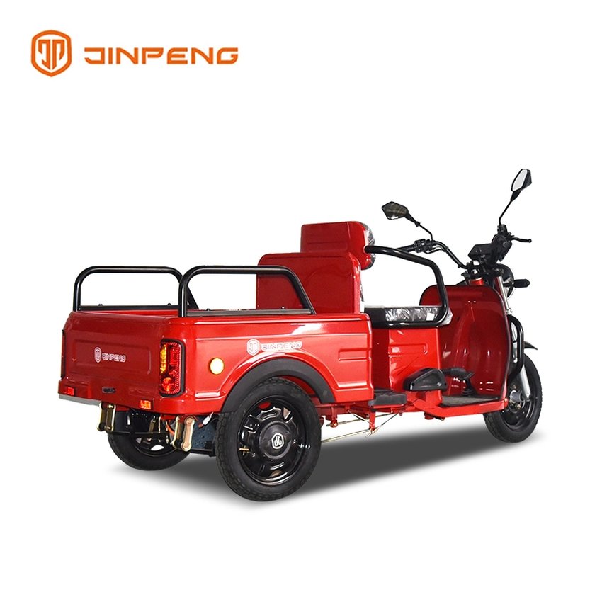 Electric Tricycle for Cargo And Passenger-FY