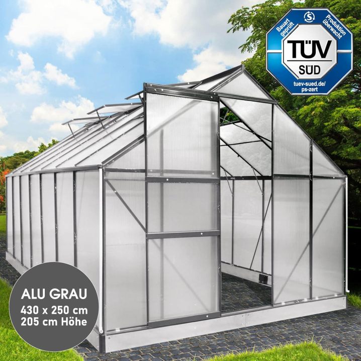BRAST Aluminium Greenhouse with Base 430 x 250 x 205 cm, TÜV Tested, 6 mm Hollow Chamber Panels, Rustproof/Weatherproof/Temperature-Resistant