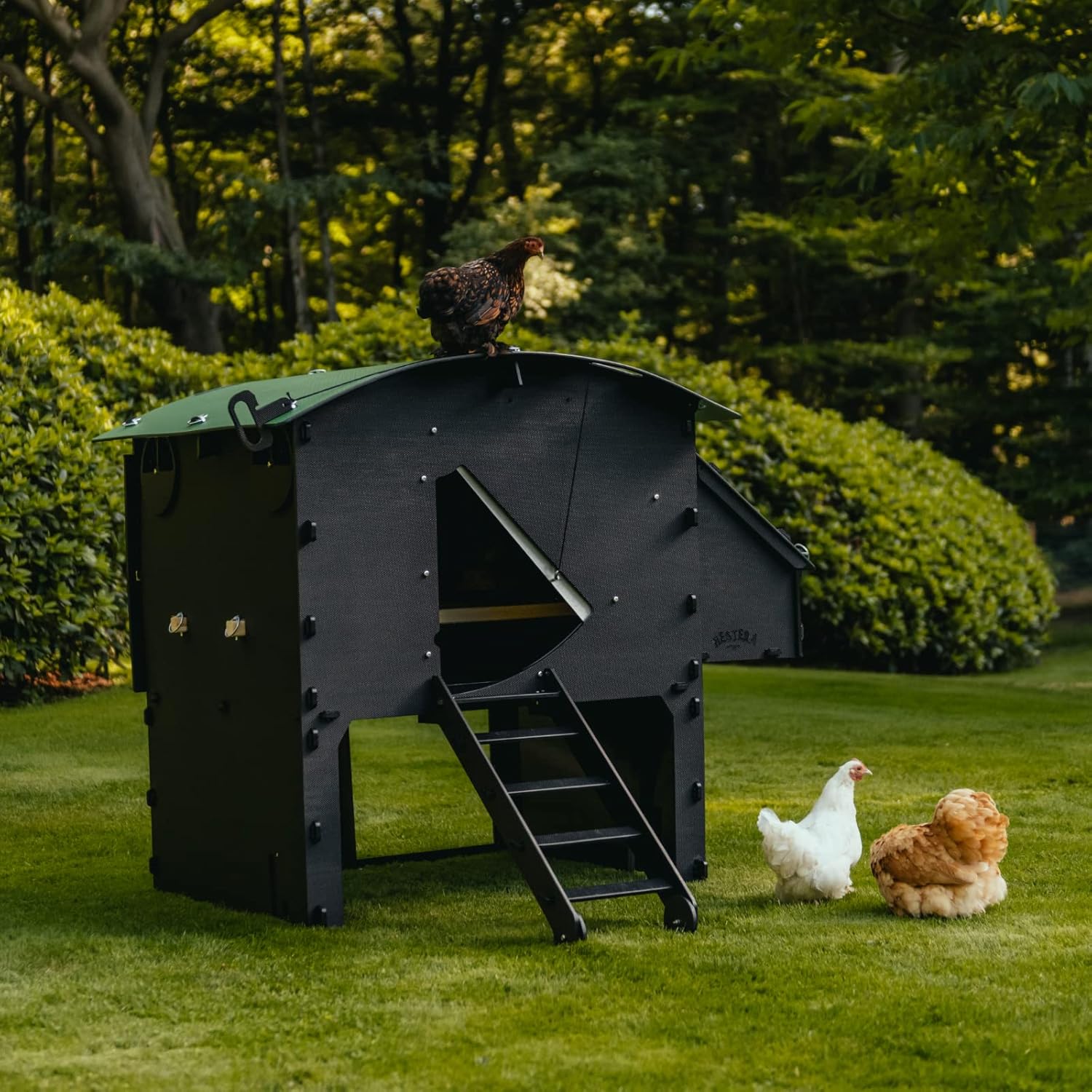 Kunststoff Hühnerstall mit 25 Jahre Garantie - Großer Boden Hühnerstall für 4, 6, 8 Hühner oder 15 Zwerghühner