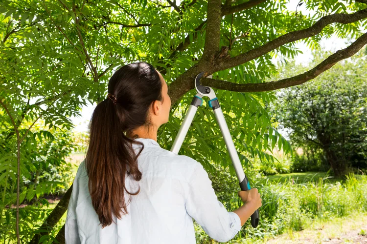 Pruning Lopper EasyCut 680 A