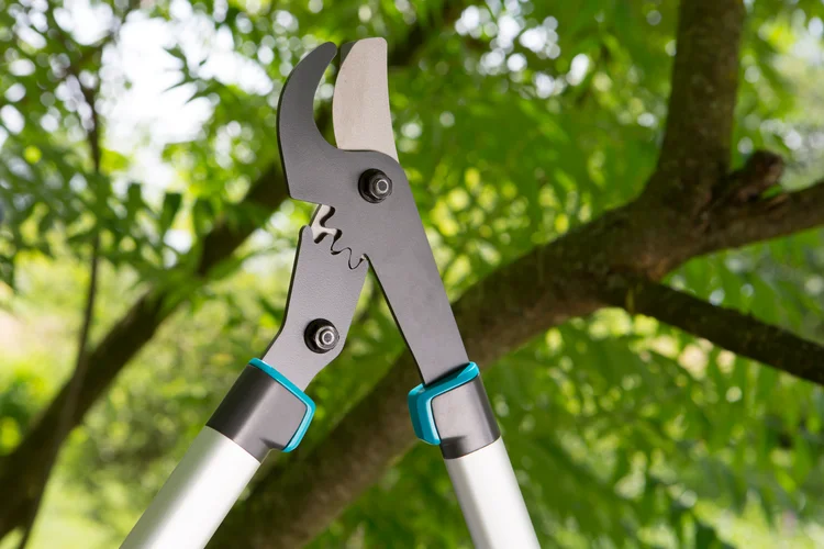 Pruning Lopper EnergyCut 750 B