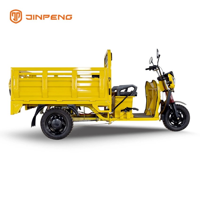 Cargo Use Electric Cargo Trike-DLS150A