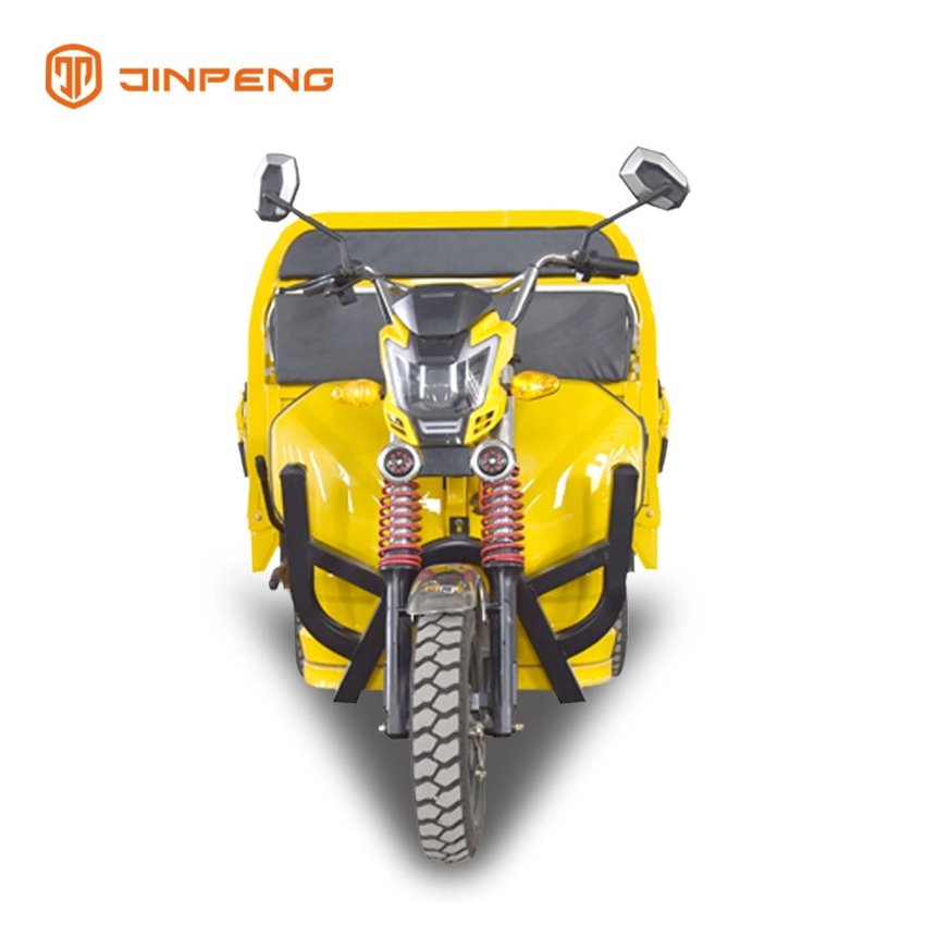 Cargo Use Electric Cargo Trike-DLS150A