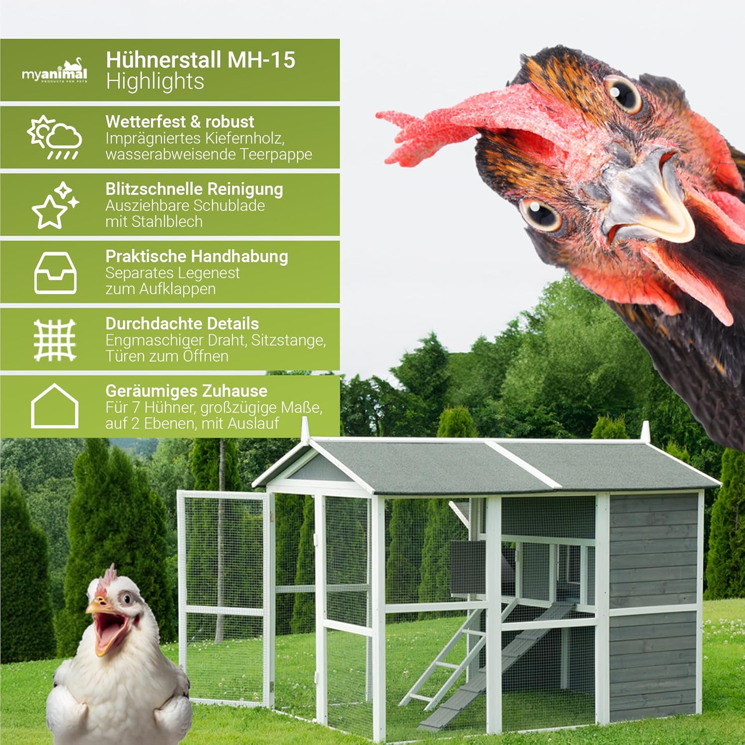 Miweba MyAnimal Hühnerstall MH-15 XXL | 186x146x147 cm - Für 7 Hühner - Nistkasten mit Freilaufgehege - Sitzstange - Winterfest - 2 Ebenen - Hühnerhaus mit Eiablage - Kiefernholz - Voliere (Grau/Weiß)