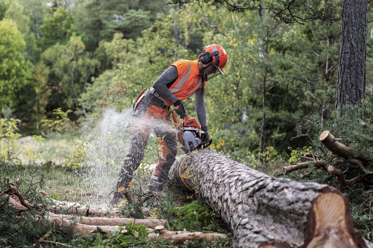 Husqvarna Chainsaws 550 XP® Mark II