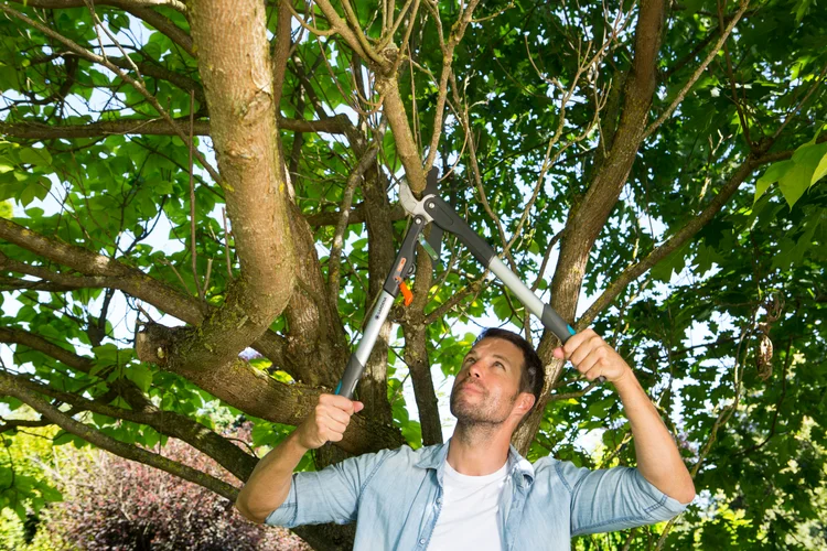 Ratchet Lopper SmartCut