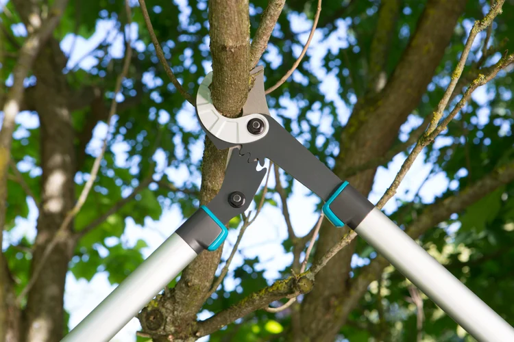 Pruning Lopper EnergyCut 750 A