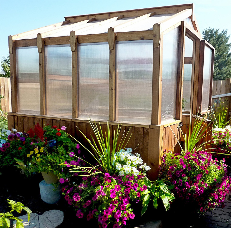 Eartheasy 8' x 8' Cedar Greenhouse