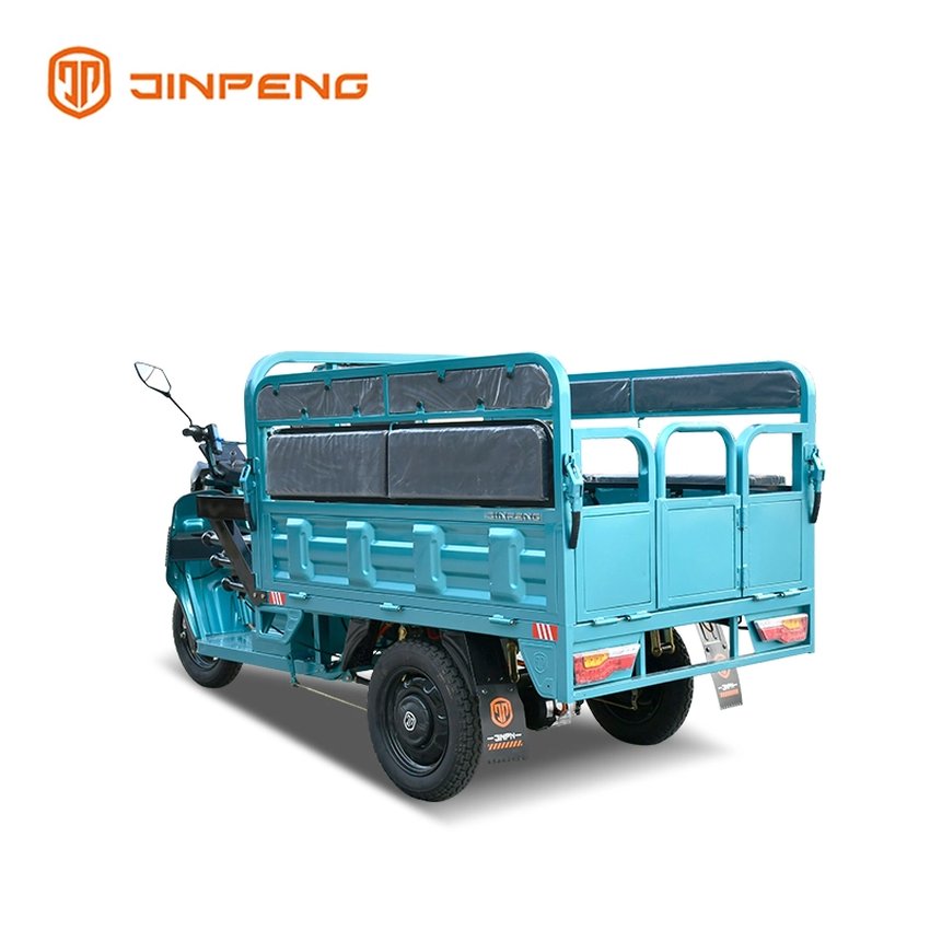 Cargo And Passenger Electric Tricycle TY150UK