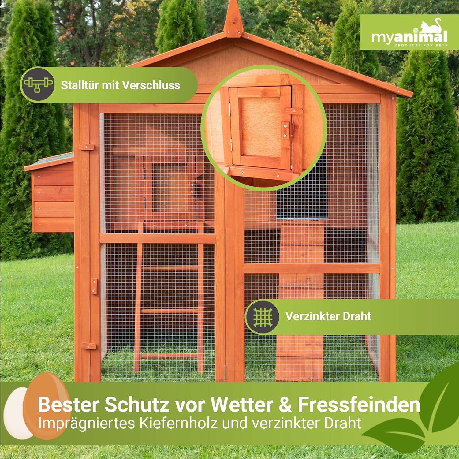 Miweba MyAnimal Hühnerstall MH-15 XXL | 186x146x147 cm - Für 7 Hühner - Nistkasten mit Freilaufgehege - Sitzstange - Winterfest - 2 Ebenen - Hühnerhaus mit Eiablage - Kiefernholz - Voliere