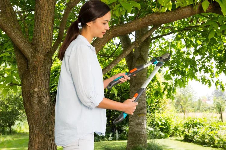 Pruning Lopper TeleCut 520-670 B