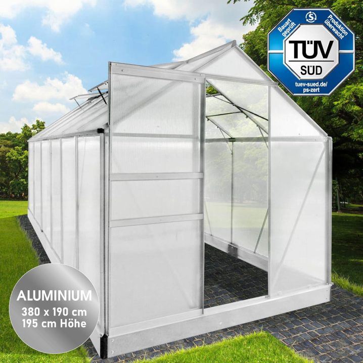 BRAST Aluminium Greenhouse with Base 380 x 190 x 195 cm, TÜV Tested, 6 mm Hollow Chamber Panels, Rustproof/Weatherproof/Temperature-Resistant