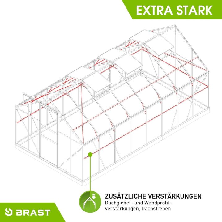 BRAST Aluminium Greenhouse with Base 490 x 250 x 205 cm, TÜV Tested, 6 mm Hollow Chamber Panels, Rustproof/Weatherproof/Temperature-Resistant