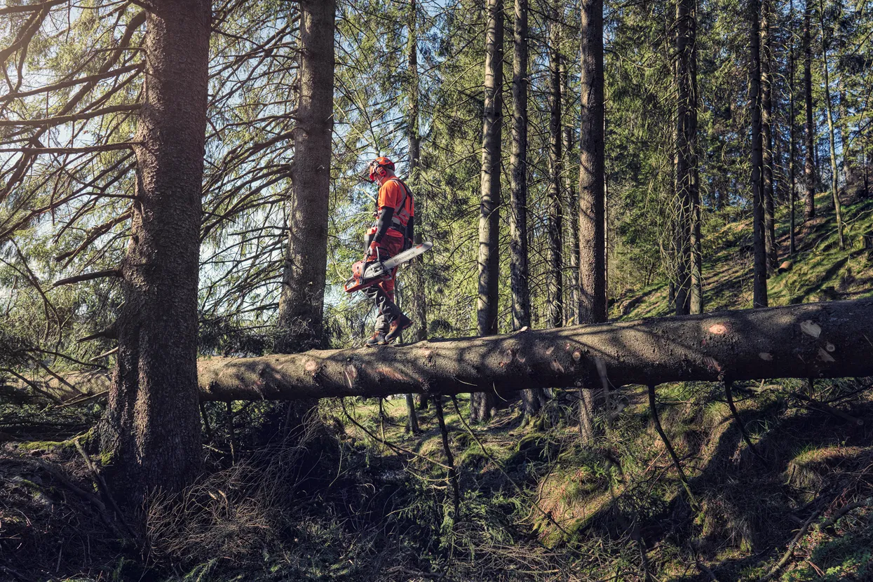 Husqvarna Chainsaws 572 XP®