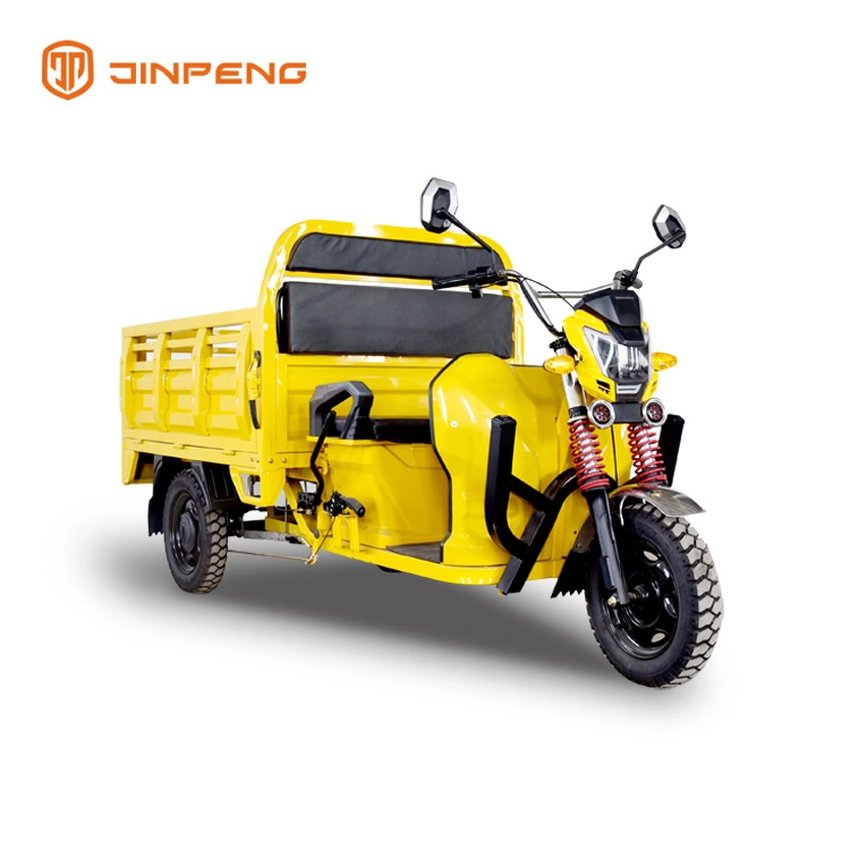 Cargo Use Electric Cargo Trike-DLS150A