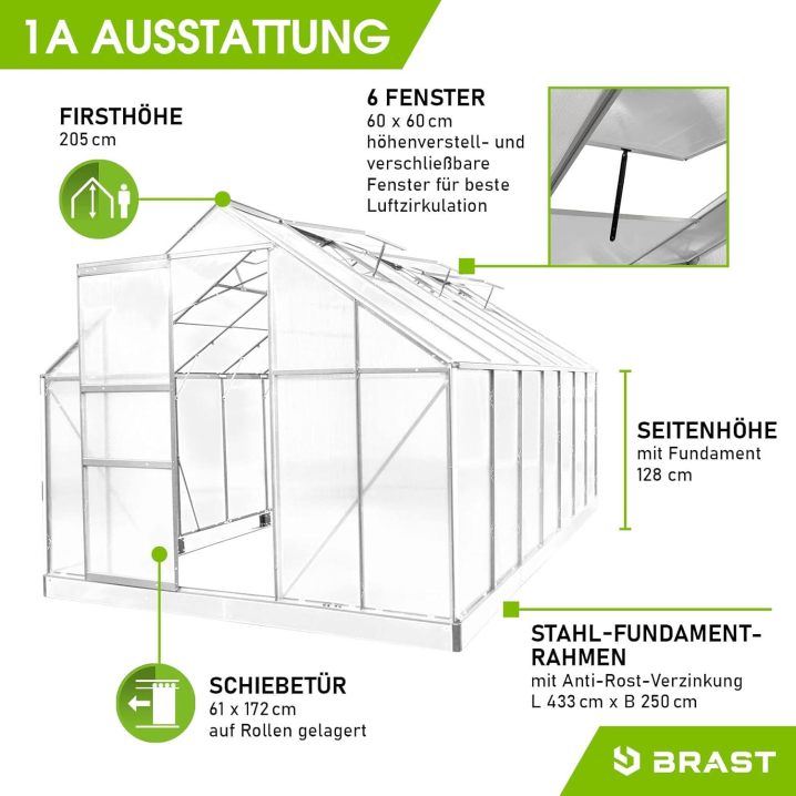 BRAST Aluminium Greenhouse with Base 430 x 250 x 205 cm, TÜV Tested, 6 mm Hollow Chamber Panels, Rustproof/Weatherproof/Temperature-Resistant