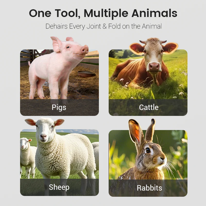 Labor-Saving Pig Hair Remover Scraper Disc