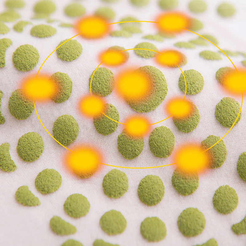 🦵 50% OFF! ❄️ Women's Waist Protector - Elastic and Warm, Invisible under Clothing for Daily Confidence 💃📦