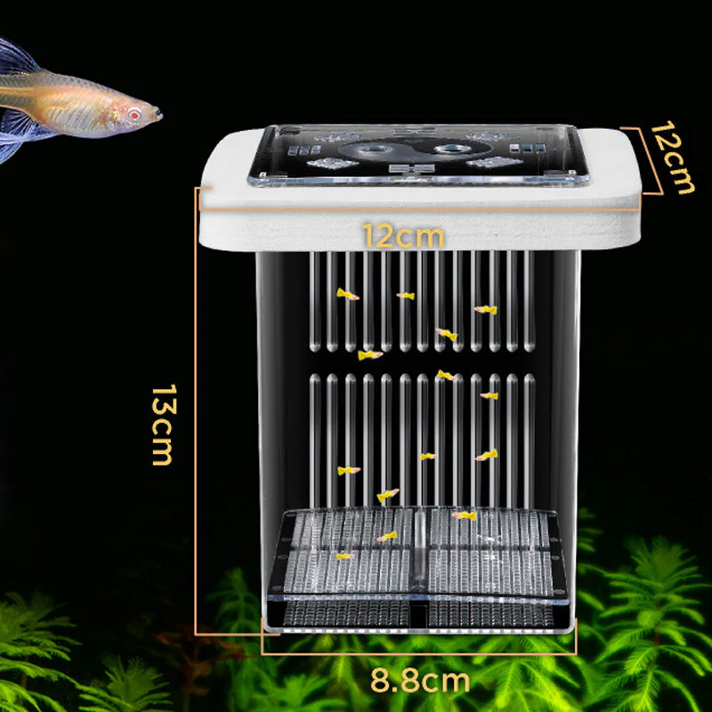 4-Layer Protective Detachable Acrylic Fry Hatching Box