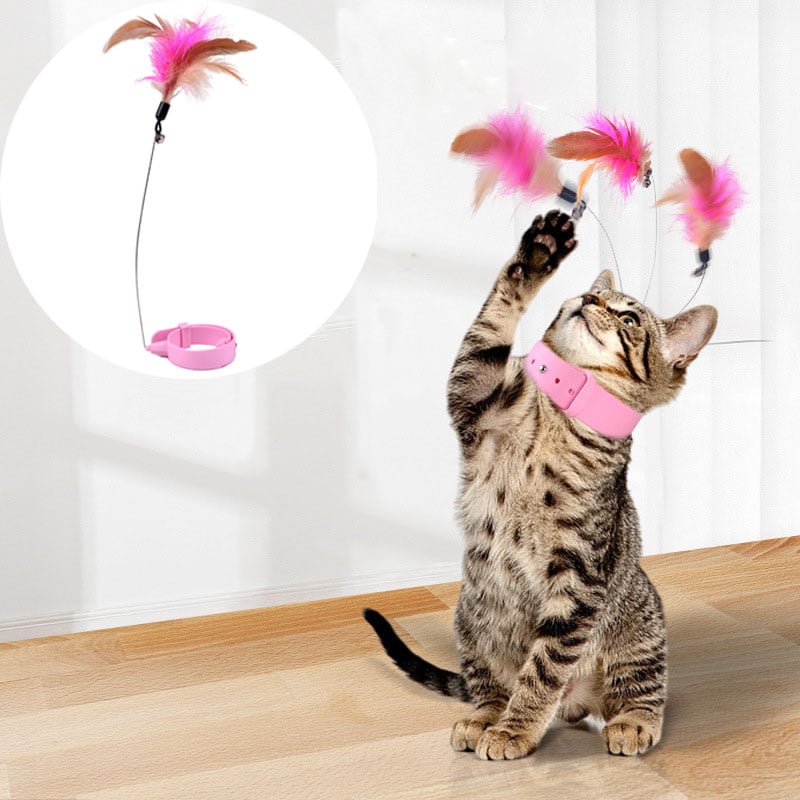 🐾 Collar feather cat-teasing stick