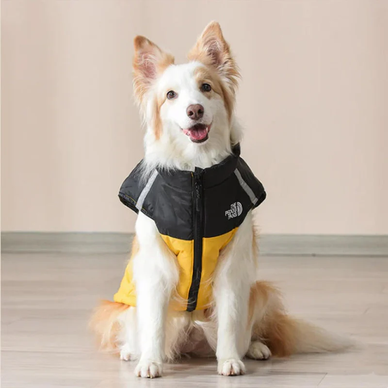 🐶 Waterproof Dog Winter Coat | Christmas Sale 53% OFF | Windproof Warm Lining, Reflective & Adjustable | Perfect Gift for Furry Friends in Cold Weather 🎄✨