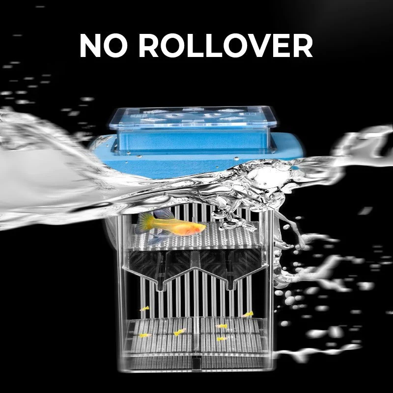 4-Layer Protective Detachable Acrylic Fry Hatching Box