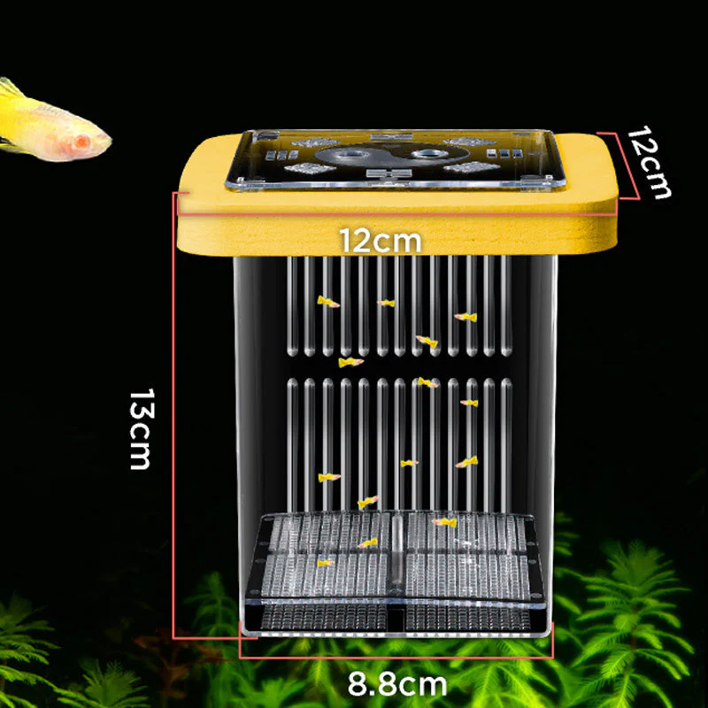 4-Layer Protective Detachable Acrylic Fry Hatching Box