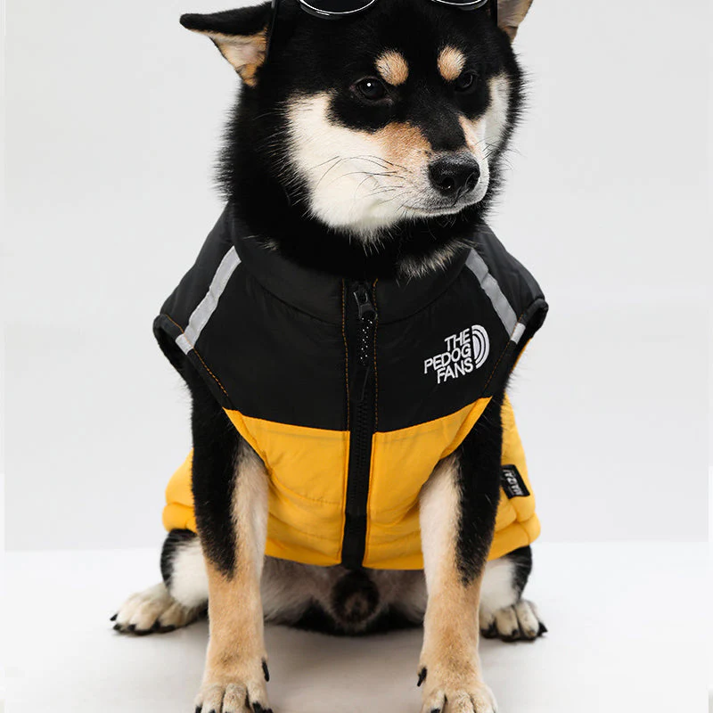 🐶 Waterproof Dog Winter Coat | Christmas Sale 53% OFF | Windproof Warm Lining, Reflective & Adjustable | Perfect Gift for Furry Friends in Cold Weather 🎄✨