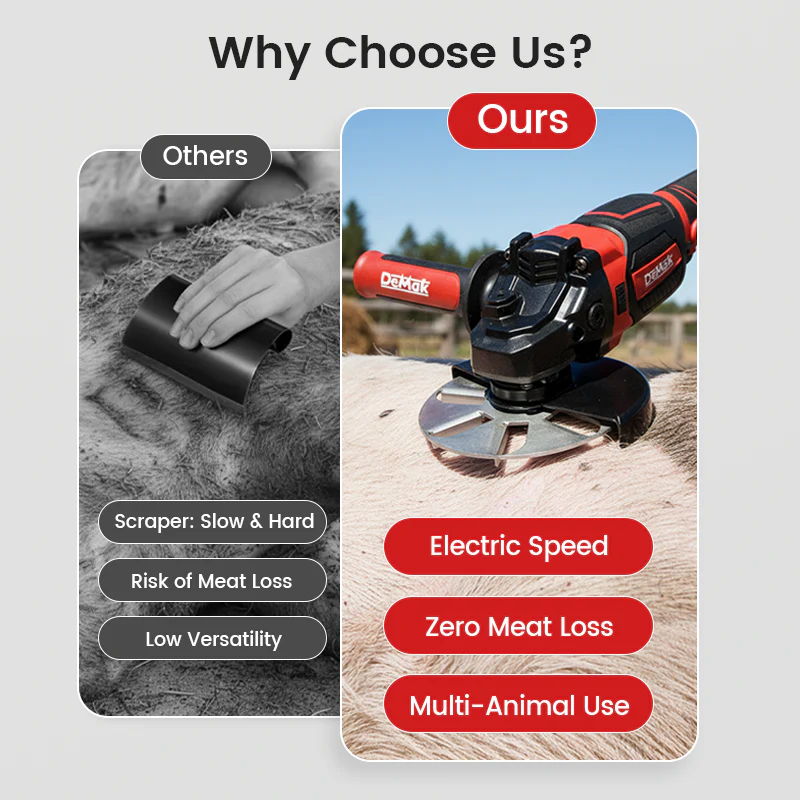 Labor-Saving Pig Hair Remover Scraper Disc