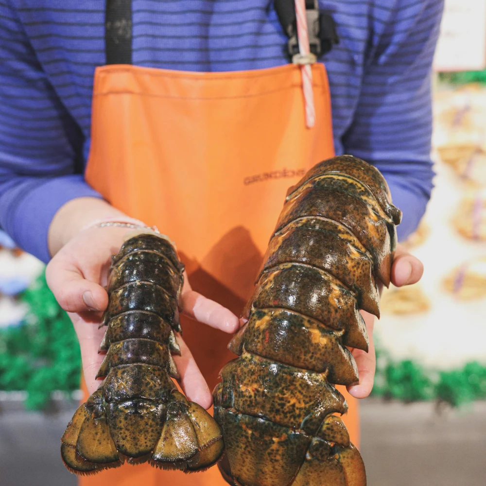 Lobster Tails - North Atlantic, Wild