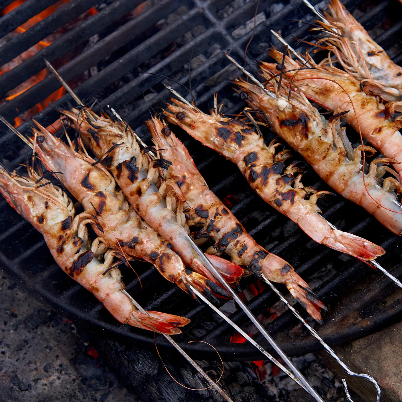 New Caledonia Blue Prawns