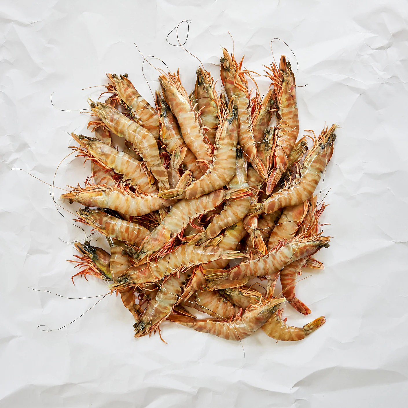 Skull Island Tiger Prawns