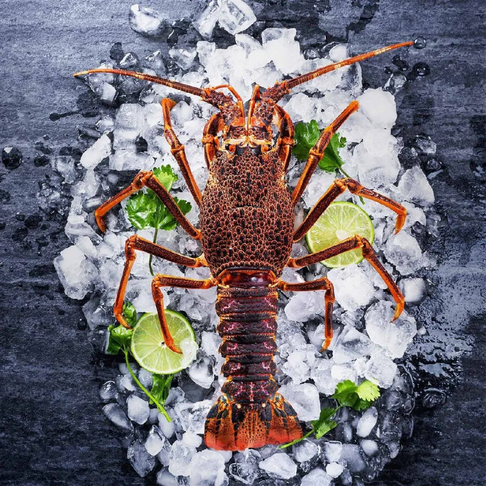 🔥Hot Sale🔥5 lbs Manually Caught Australian Lobster - Guarantee Fresh Taste