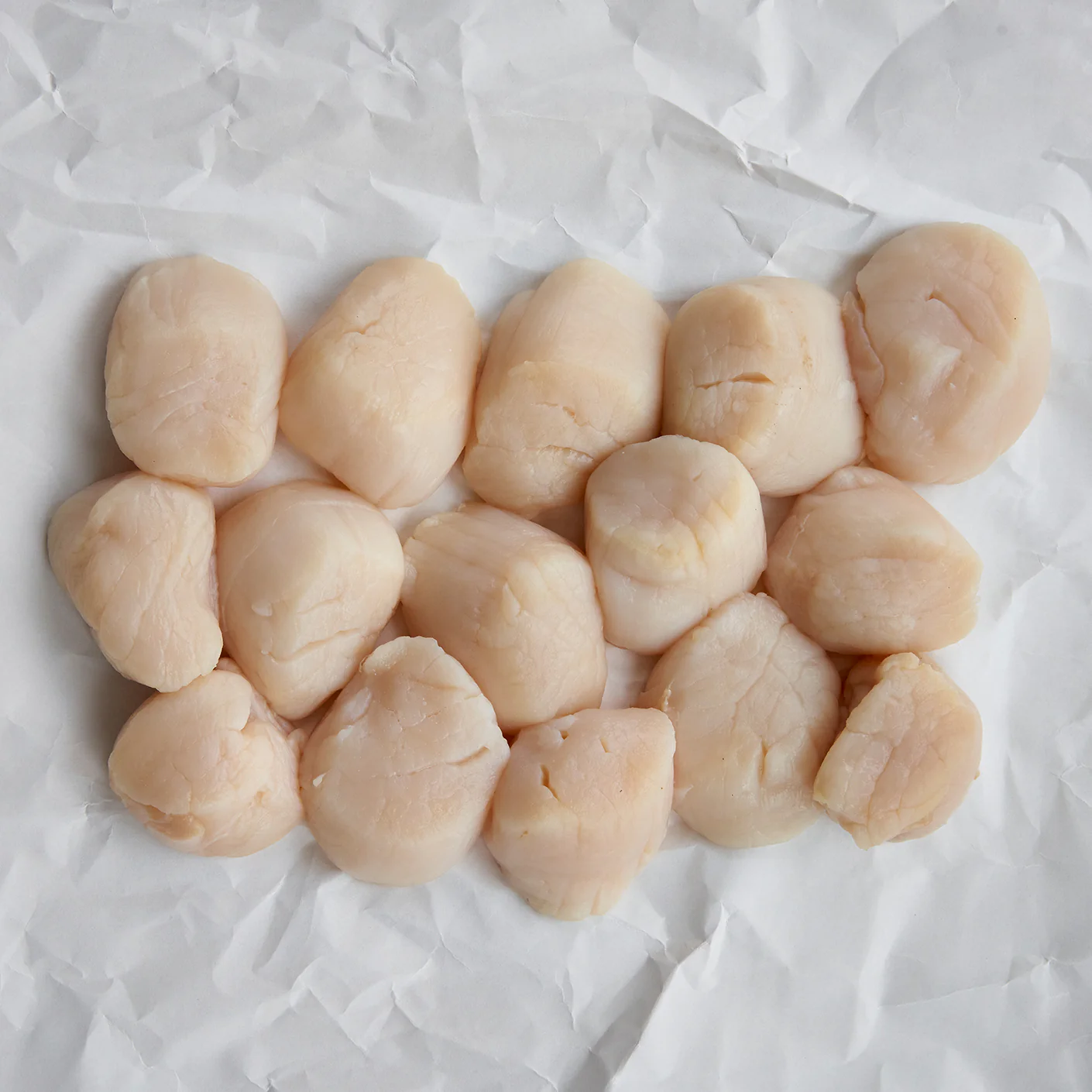 Sea Scallops
