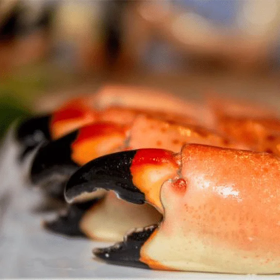Colossal Stone Crab Claws