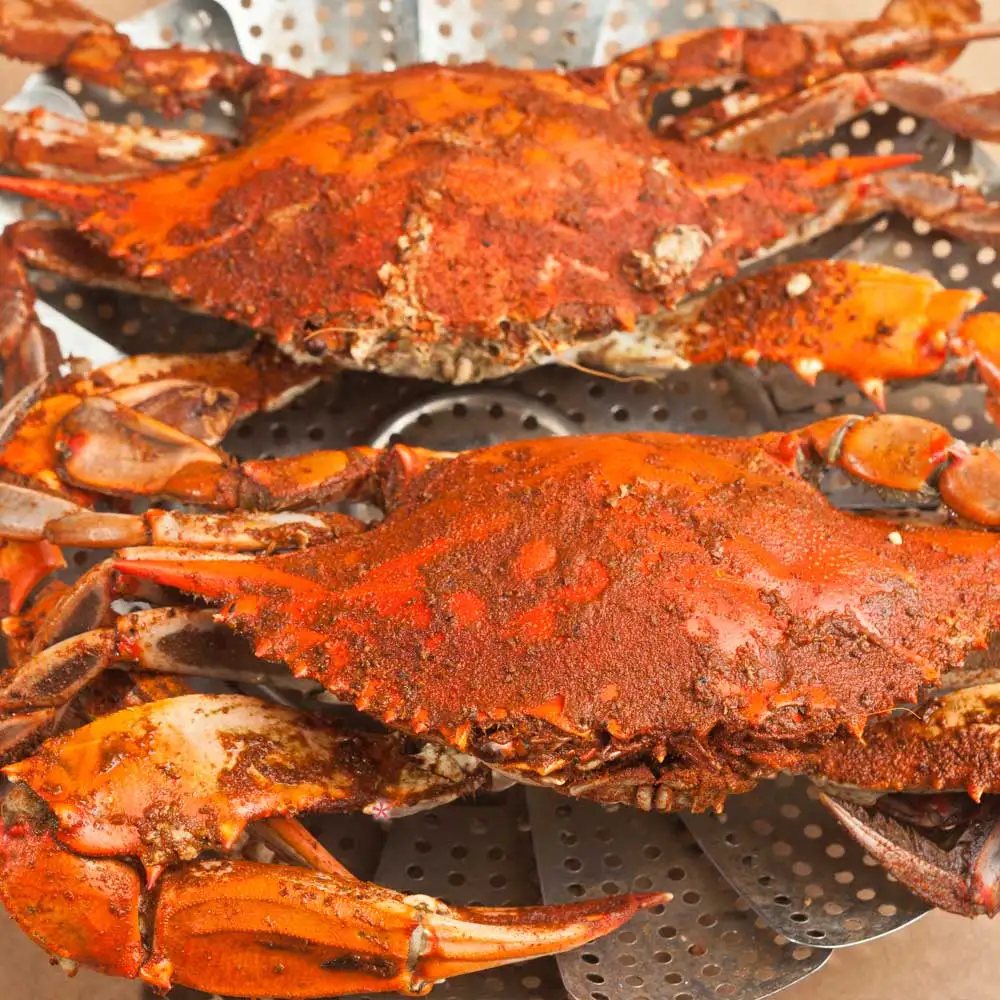 Colossal Jumbo Male Maryland Crabs